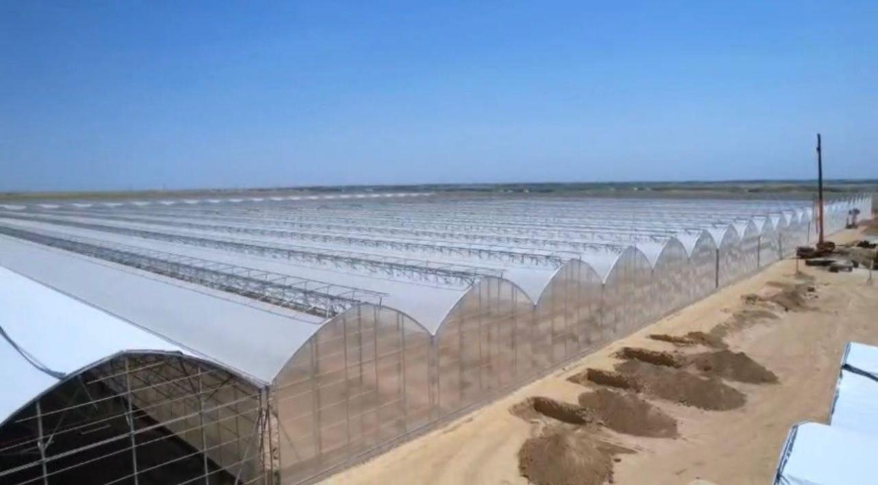  gluster 2026 1 29 4b314ae6eca4ba21f65fadf7935981af 1280x720