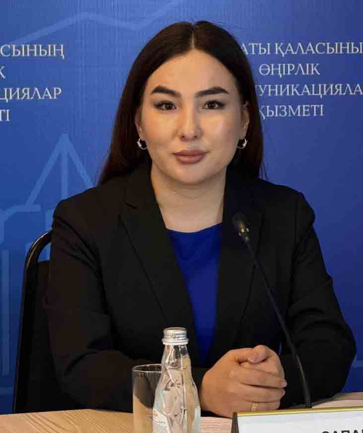 Механизмы применения закона о бытовом насилии фото 2